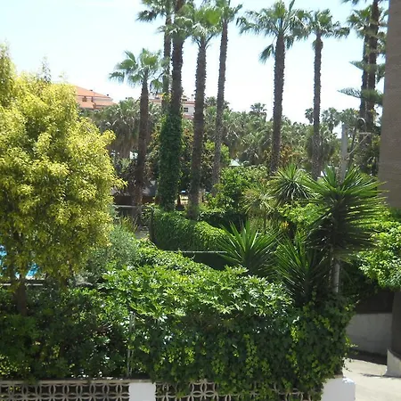 P3. Maxi, Apartment *